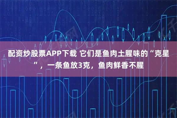 配资炒股票APP下载 它们是鱼肉土腥味的“克星”，一条鱼放3克，鱼肉鲜香不腥